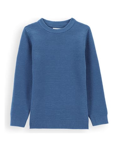 Coccodrillo Pullover in Blau