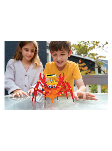HCM Krab hybrydowy - 5+