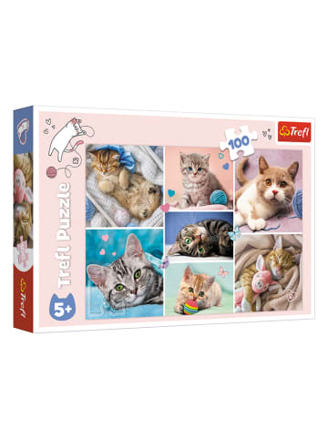 Trefl 100tlg. Puzzle - ab 5 Jahren