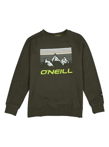 O`Neill Sweatshirt "Morgan" in Khaki