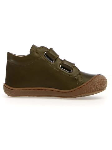 Naturino Leder-Sneakers "Cocoon dyno" in Khaki