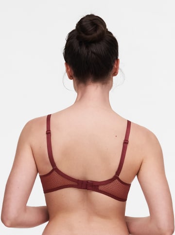 Passionata Voorgevormde beha bordeaux
