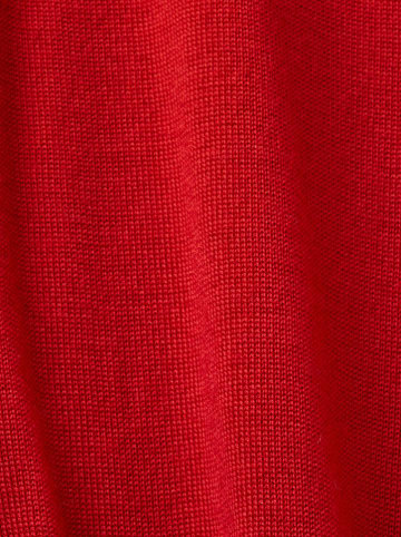 ESPRIT Woll-Rollkragenpullover in Rot