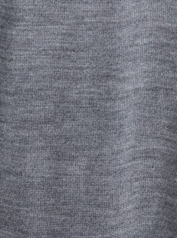ESPRIT Wollrollkragenpullover in Grau