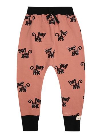 Turtledove London Sweathose in Apricot