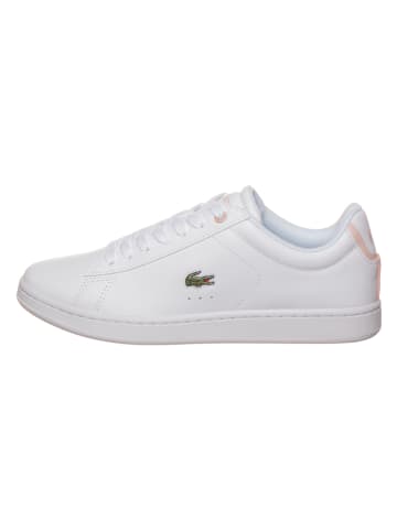 Lacoste Skórzane sneakersy "CARNABY EVO" w kolorze jasnoróżowo-białym