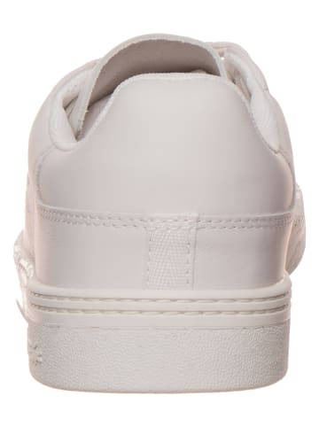 Lacoste Skórzane sneakersy "COURT ZERO" w kolorze białym