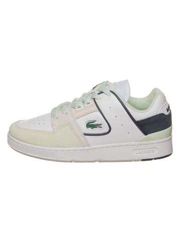 Lacoste Leder-Sneakers "COURT CAGE" in Weiß/ Anthrazit