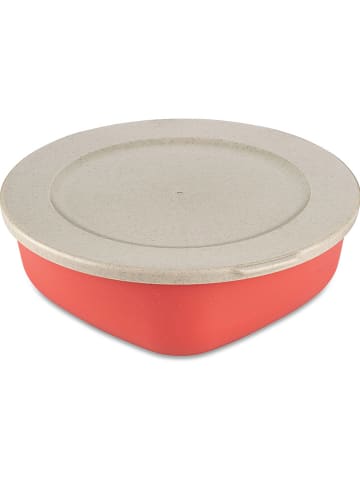 koziol Frischhaltedose "Connect Box 1,3" in Rot - 1,3 l