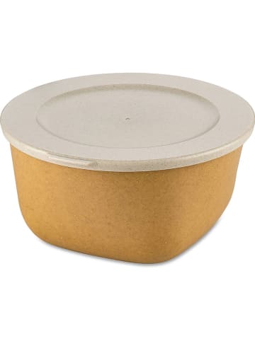koziol Pojemnik "Connect Box 2" w kolorze jasnobrązowym - 4 l