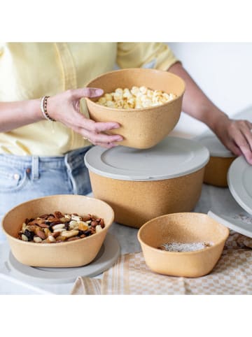 koziol Frischhaltedose "Connect Box 4" in Hellbraun - 4 l