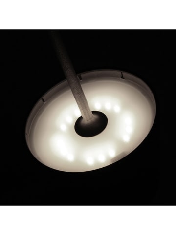 FH Lighting LED-Tischleuchte "Cosenza 2.0" in Schwarz - (H)34 x Ø 11 cm