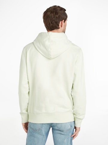 Calvin Klein Hoodie in Hellgrün