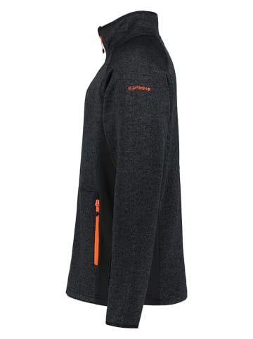 Icepeak Fleecejacke "Bode" in Schwarz