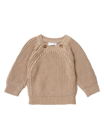 Noppies Pullover "Tifton" in Beige