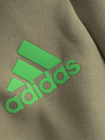 adidas Spodnie dresowe w kolorze khaki