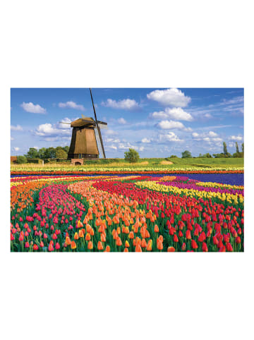 Calypto 1.000-delige puzzel "Tulpen" - vanaf 9 jaar
