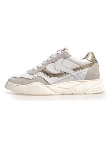 Voile Blanche Leder-Sneakers in Creme/ Gold