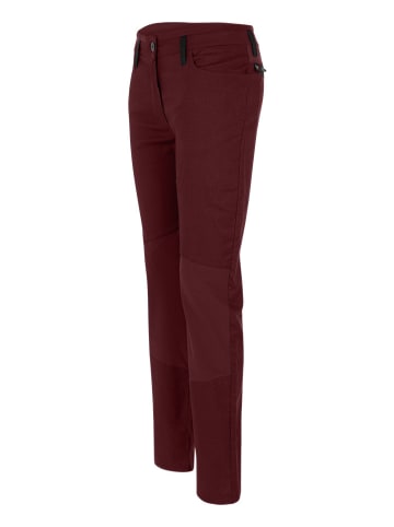 Salewa Spodnie funkcyjne "Lavaredo" w kolorze czerwonym