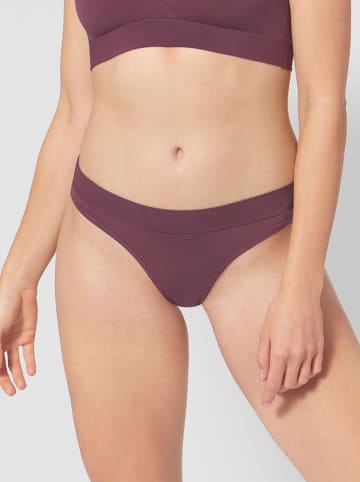 Sloggi Slip in Aubergine