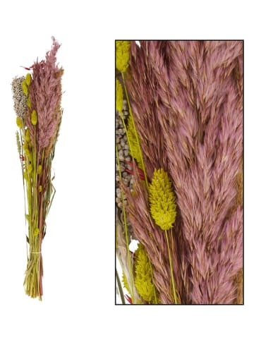 Dijk Natural Bukiet suszonych kwiatów w kolorze jasnoróżowo-zielonym - wys. 70 cm