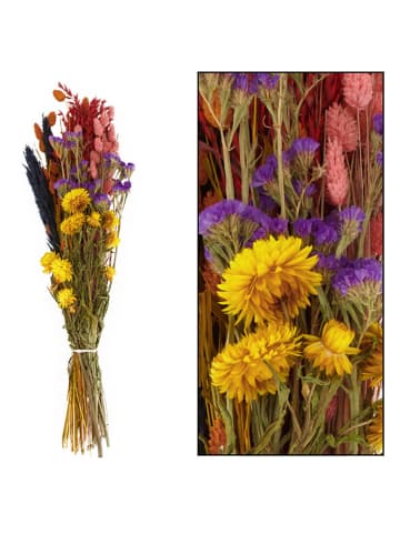 Dijk Natural Bukiet suszonych kwiatów w różnych kolorach - wys. 72 cm