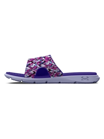 Under Armour Pantoletten "Ignite Pro" in Lila/ Pink