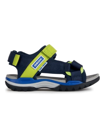 Geox Sandalen "Borealis"  in Dunkelblau/ Grün