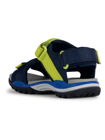 Geox Sandalen "Borealis"  donkerblauw/groen