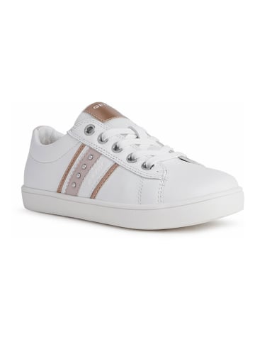 Geox Leder-Sneakers "Kathe" in Weiß