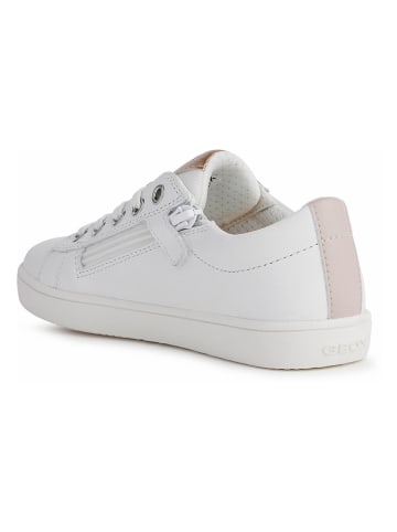Geox Leder-Sneakers "Kathe" in Weiß