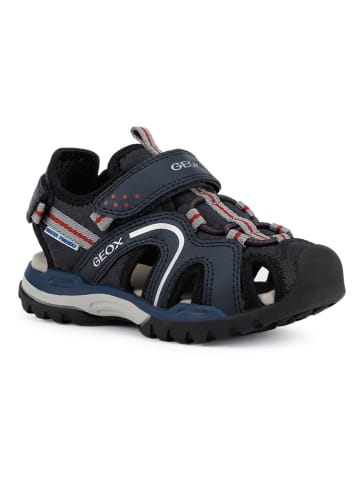 Geox Halbsandalen "Borealis" in Dunkelblau
