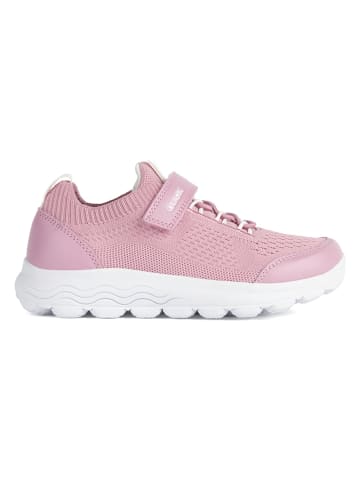 Geox Sneaker "Spherica" in Rosa