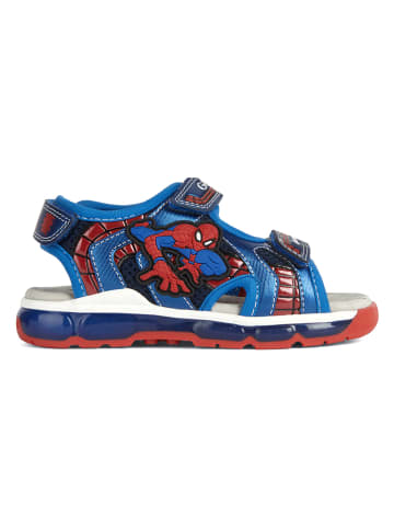 Geox Sandalen "Android" in Blau/ Rot