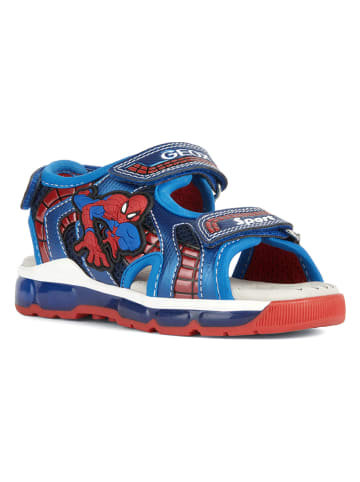 Geox Sandalen "Android" blauw/rood