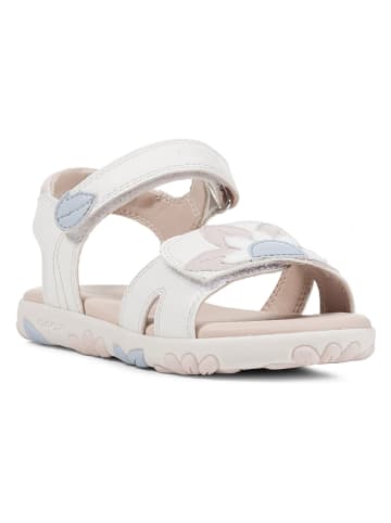 Geox Sandalen "Haiti" in Weiß