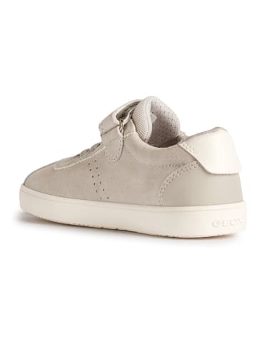 Geox Leder-Sneakers "Kathe" in Grau