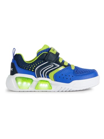 Geox Sneakers "Illuminus" in Blau/ Grün