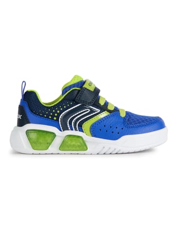 Geox Sneakersy "Illuminus" w kolorze niebiesko-zielonym