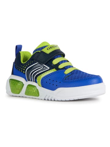 Geox Sneakers "Illuminus" blauw/groen
