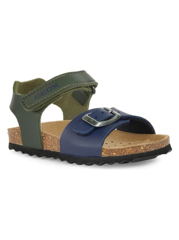 Geox Sandalen "Chalki" kaki/donkerblauw