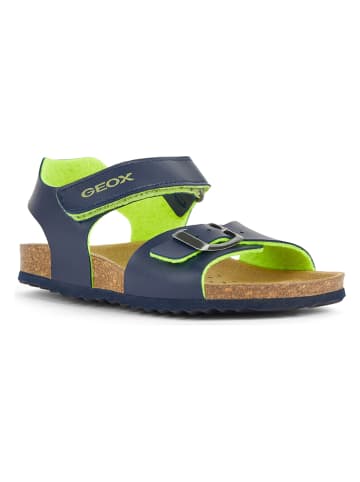 Geox Sandalen "Ghita" in Dunkelblau