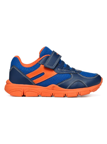 Geox Sneakers "Torque" in Blau/ Orange