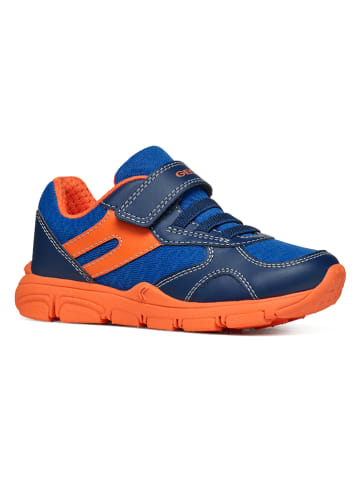 Geox Sneakers "Torque" in Blau/ Orange