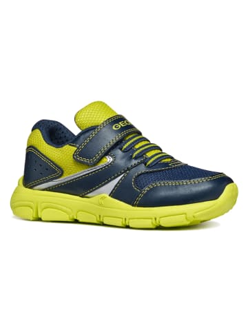 Geox Sneakers "Torque" donkerblauw/groen