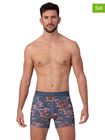 Muchachomalo 4-delige set: boxershorts blauw/zwart