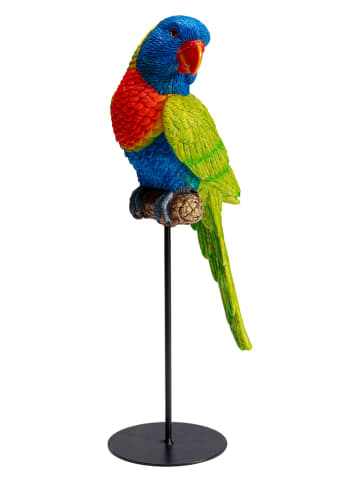 Kare Dekofigur "Parrot" in Grün/ Bunt - (H)36 cm