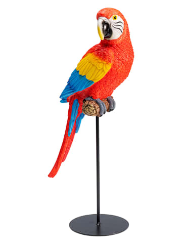 Kare Figurka dekoracyjna "Parrot Macaw" w kolorze czerwonym ze wzorem - wys. 35,5 cm