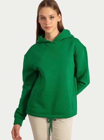 SIR RAYMOND TAILOR Hoodie "Odin-K" groen