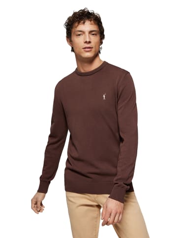 Polo Club Pullover in Dunkelbraun